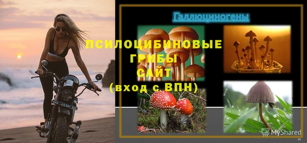 гашиш Баксан