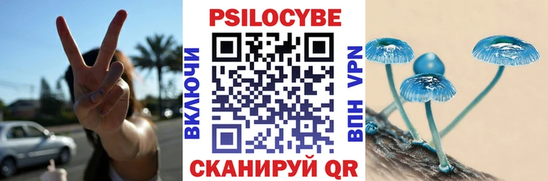 Купить где  Новоуральск  Галлюциногенные грибы мицелий 