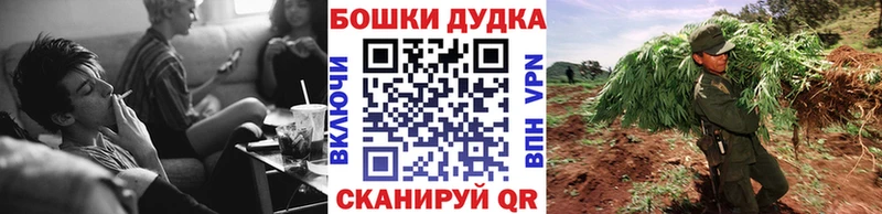 Купить где  Новоуральск  Каннабис OG Kush 